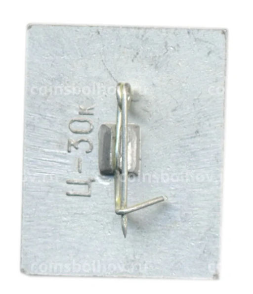 Значок Ворота Гиссарской крепости