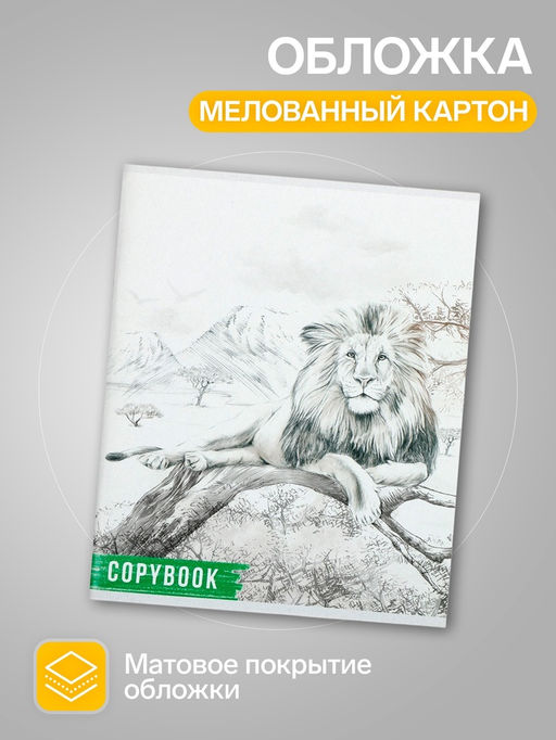 Комплект тетрадей из 4 штук, 96 листов в клетку Calligrata Африка, обложка мелованный картон, блок №2, белизна 75% (серые листы)  фото 2