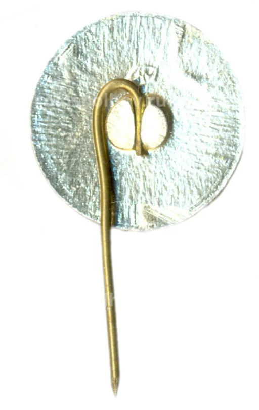 Значок Замок Гедемина