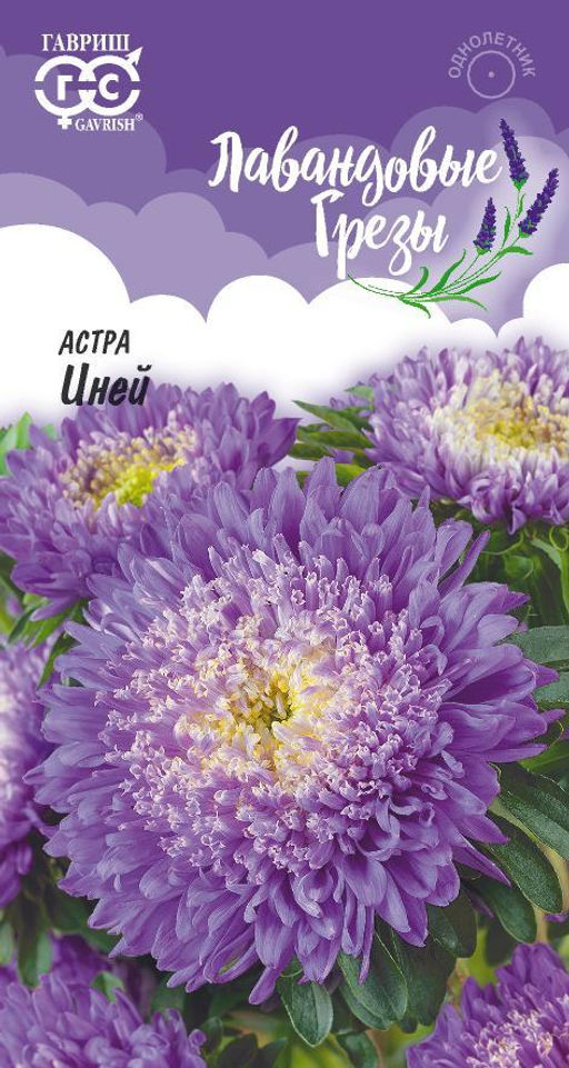 Иней астра 0,3 гр (г)