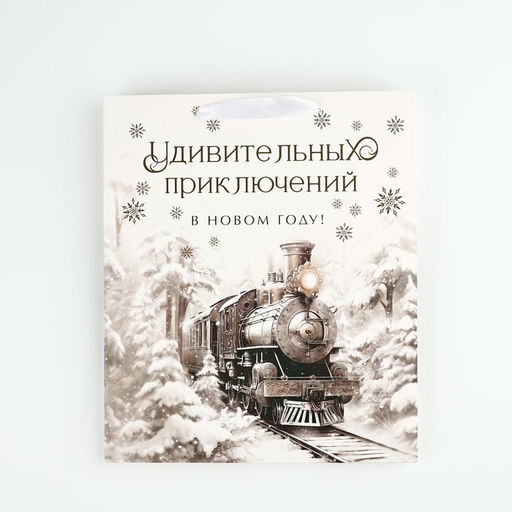 Пакет подарочный новогодний ламинированный «Приключений в новом году», тиснение, ML 23×27×11.5 см