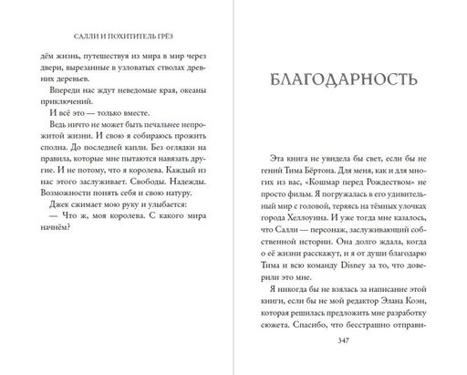 Кошмар перед Рождеством. Салли и похититель грёз