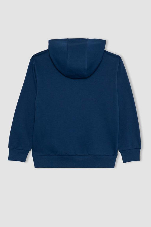 Толстовка с капюшоном в стиле ретро для мальчиков Черепашки-ниндзя - Defacto фото 8