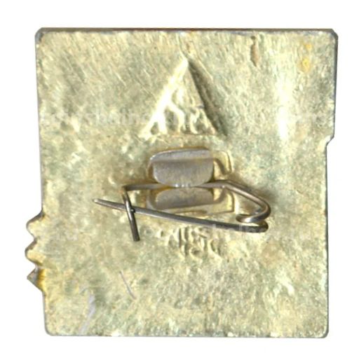 Значок Владимир