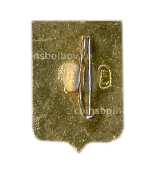 Значок Владимир