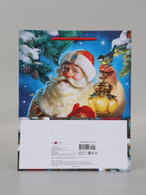 Цена за 2 шт. Пакет подарочный «Зимний волшебник», 26×12×32 см