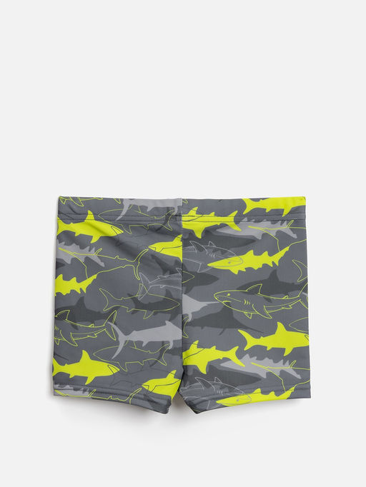 ACOOLA / Трусы купальные детские для мальчиков Orlando хаки принт  фото 2