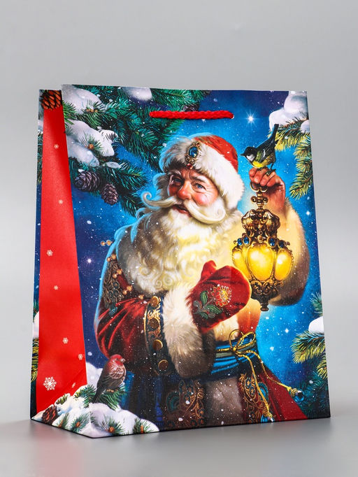 Цена за 2 шт. Пакет подарочный новогодний ламинированный, «Дед Мороз», 18×10×22.3 см