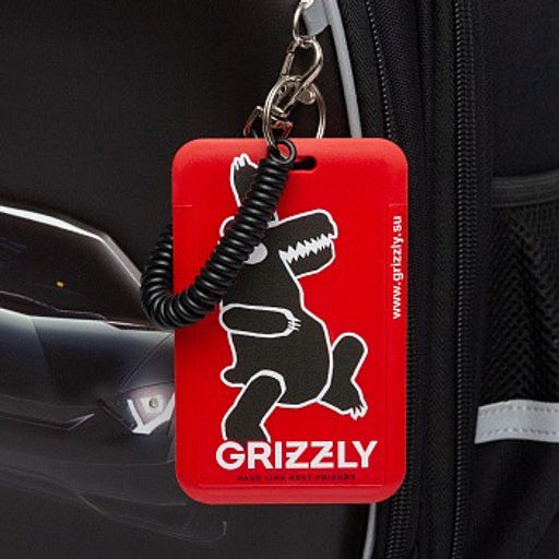 RAz-587-7 Рюкзак школьный - Grizzly фото 14