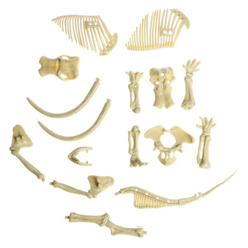 Набор для опытов Ледниковая эпоха, в пакете - Simaland фото 3