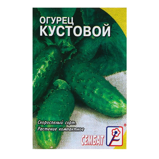 Цена за 5 шт. Семена Огурец "Кустовой", 0,5 г