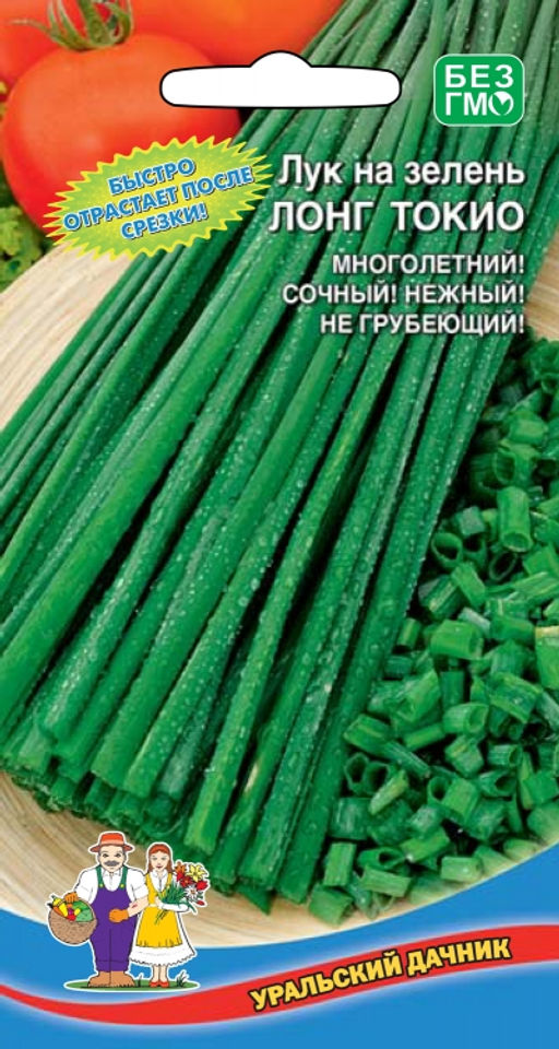 Лук на зелень ЛОНГ ТОКИО Многолетний! Сочный! Нежный! Не грубеющий! Быстро отрастает после срезки!