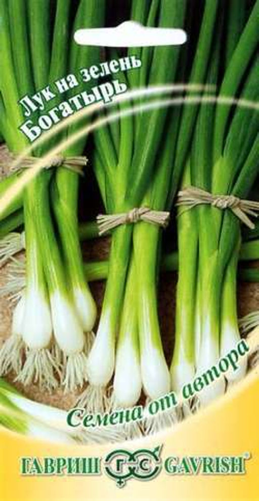 Богатырь лук на зелень 0,5гр (г)