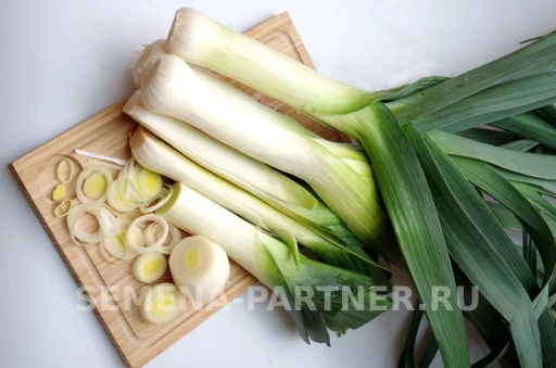 Лук порей Элефант - Партнер фото 5