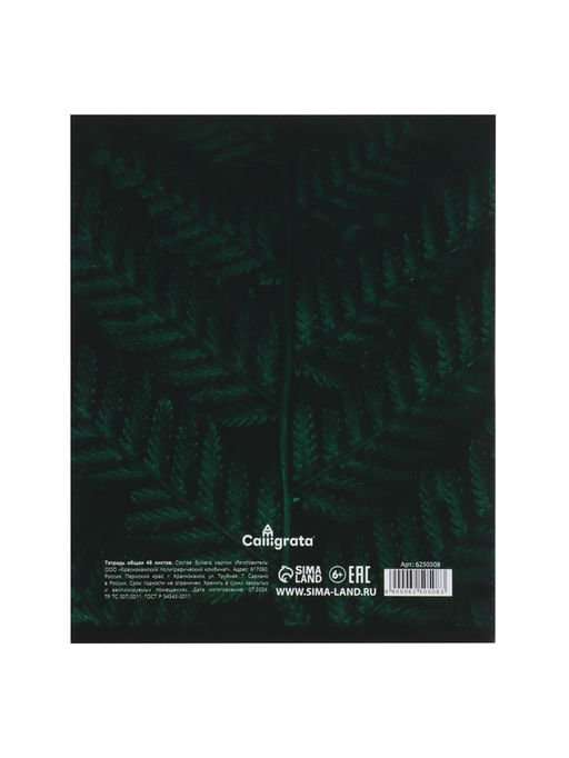 Набор тетрадей, 48 листов в клетку, Calligrata «Изумруд», серые листы, 5 штук