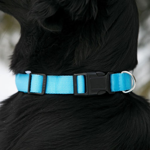 Ошейник с подсветкой Двойная полоса размер L, ОШ 45-52 х 2,5 см 3 режима свечения голубой - Пижон фото 4