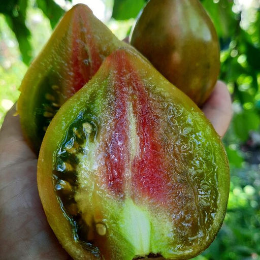 7077Т Томат Сладкое трюфельное сердце 10шт