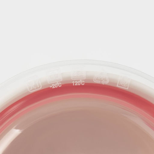 Набор салатников керамических с вакуумными крышками «Розалинда», 3 предмета: 250 мл, 550 мл, 850 мл, d=15,5/12,5/10 см