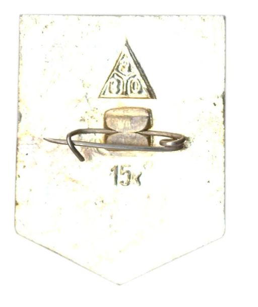 Значок Владимир