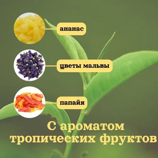 КамлёвЪ Зеленый среднелистовой чай Царь Салтан, 1 кг