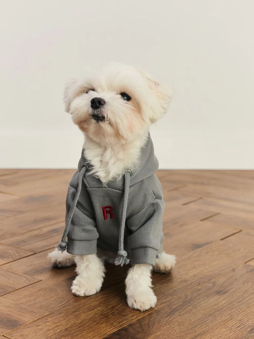 джемпер (попона) для животных / Zarina  фото 2