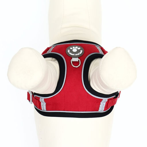 Комплект Sport+, S, поводок 120 x 1,5 см, ОШ 39-41 см , ОГ 44-48 см, вес животного 7-13 кг, красный - Пижон фото 8