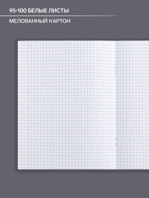 Цена за 5 шт. Предметная тетрадь по обществознанию Calligrata «Животные», 48 листов, в клетку, со справочным материалом, обложка из мелованного картона