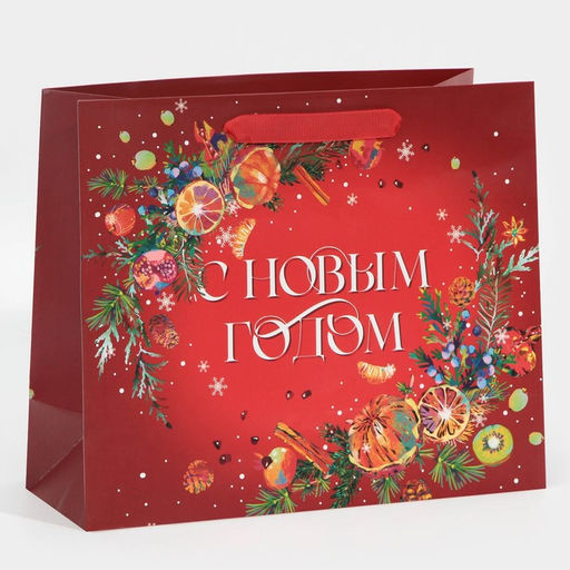 Пакет подарочный новогодний ламинированный «С Новым годом», ML 27×23×11.5 см