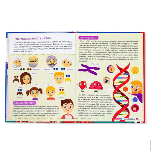 Энциклопедия в твёрдом переплёте Тело человека, 48 стр. - Буква-ленд фото 5