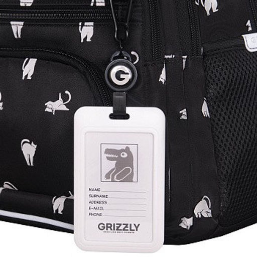 RG-662-1 Рюкзак школьный с картхолдером на держателе - Grizzly фото 22