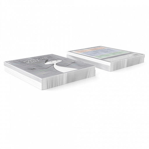 Цена за 5 шт. Тетрадь общая ученическая с пластиковой обложкой на скобе ErichKrause Чубрик, Русский язык, 48 листов, линейка  фото 3