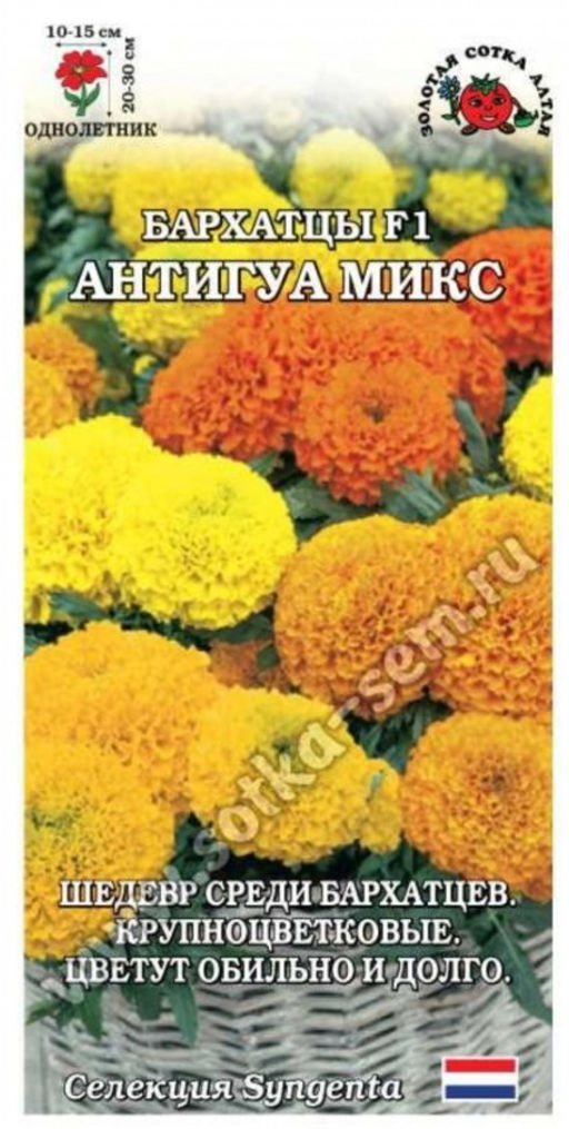 Бархатцы Антигуа микс F1 5шт. (Золотая сотка Алтая)