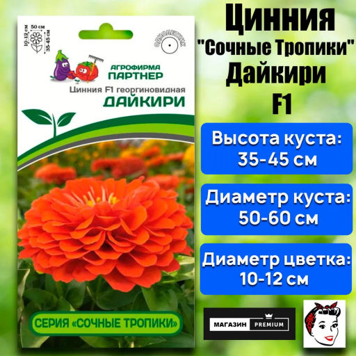 Цинния георгиновидная Сочные тропики Дайкири - Партнер фото 9