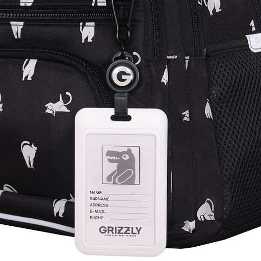 RG-662-1 Рюкзак школьный с картхолдером на держателе - Grizzly фото 44