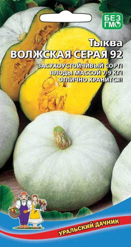 Тыква ВОЛЖСКАЯ СЕРАЯ 92