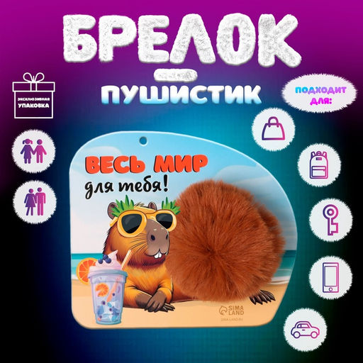 Брелок для ключей на кольце Пушистик. Капибара. Весь мир для тебя!, на сумку, рюкзак, d=8 см, 15?13 см