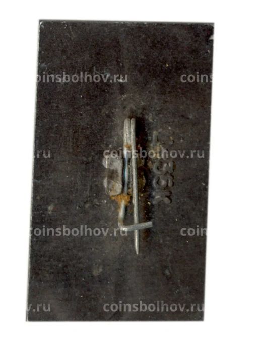 Значок Волгоград  город-герой-Вечный огонь