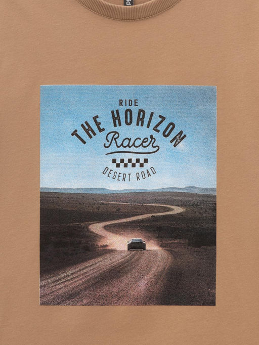 КР 302840/коричневый 1038 к586 фуфайка (футболка) для мал