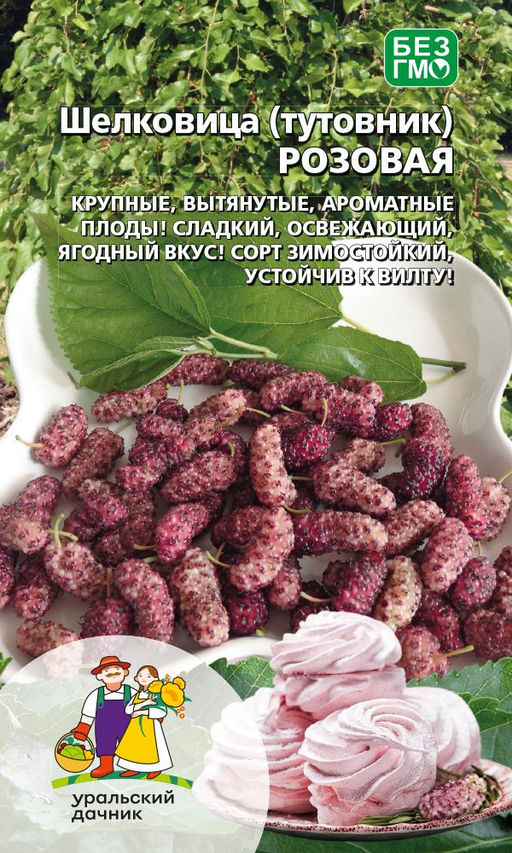 Шелковица (тутовник) РОЗОВАЯ  Крупные, вытянутые, ароматные плоды! Сладкий, освежающий, ягодный вкус! Сорт зимостойкий, устойчив в вилту!
