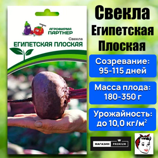 Свекла Египетская Плоская