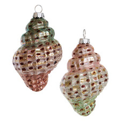 Ракушка Тигровая асс. из 2-х (стекло) 5,5х5х9,5 см - Holiday classics фото 2