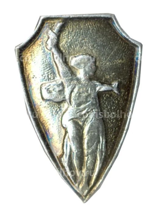 Значок Родина-мать