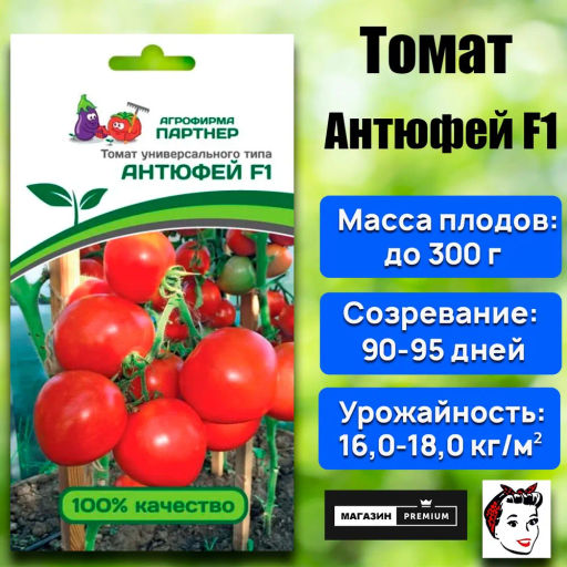 Томат Антюфей - Партнер фото 2