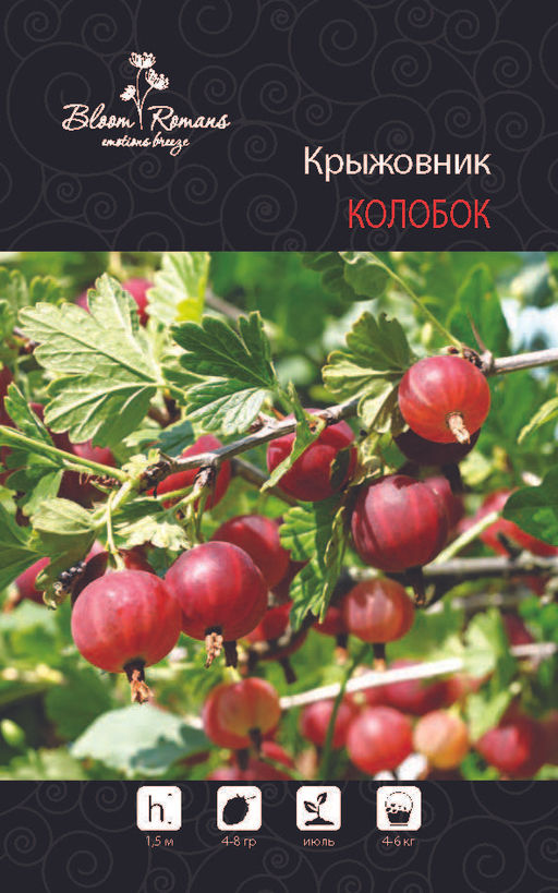 Крыжовник Колобок