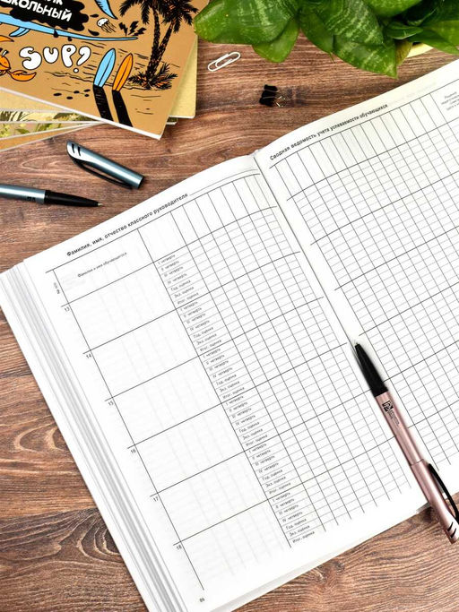 Классный журнал 10-11 класс арт. 5193