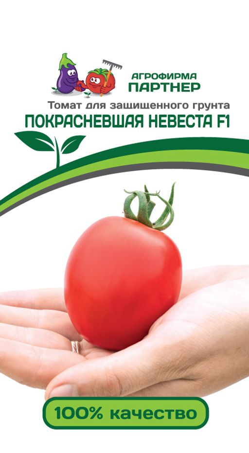 Томат Покрасневшая Невеста