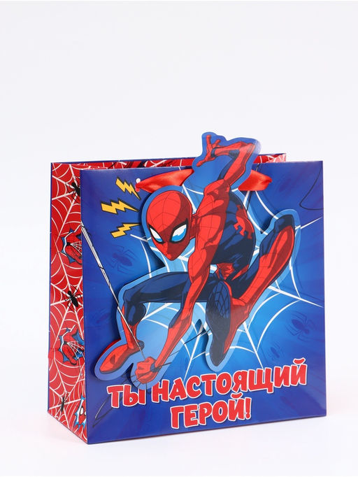 Цена за 2 шт. Пакет подарочный «Супергерой», 22 × 22 × 10 см