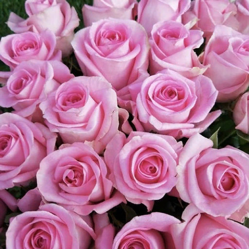 R411 РЕВИВАЛЬ