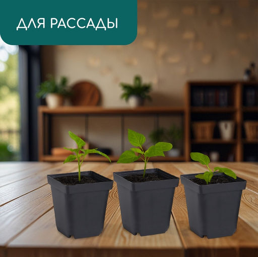 Цена за 10 шт. Горшок для рассады, 700 мл, 10×10×12.5 см, пластик, чёрный, Greengo