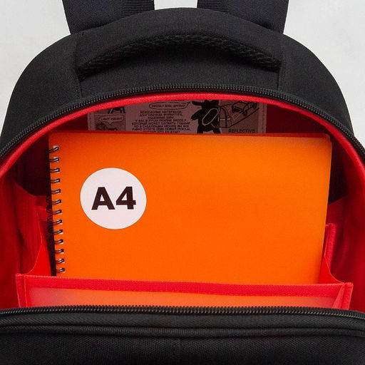 RAz-587-5 Рюкзак школьный - Grizzly фото 31